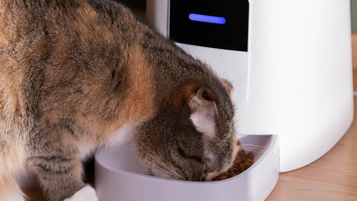 Top 10 Automatic Cat Water Fountains for Healthier Hydration in 2025