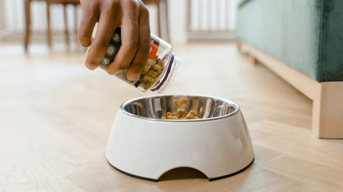 Top Picks for Essential Pet Starter Kits in 2025