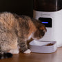 Is the Petlibro Polar Wet Food Feeder Worth It for Cat Owners