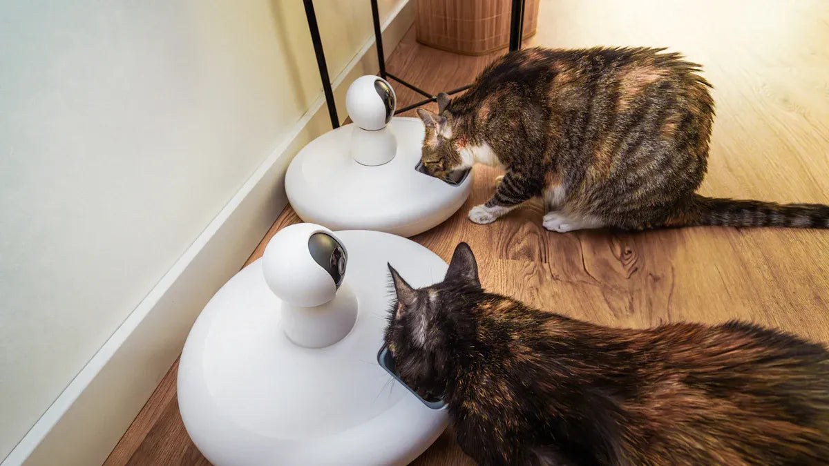 How Smart Wet Cat Food Feeders Keep Your Pet’s Meals Fresh All Day