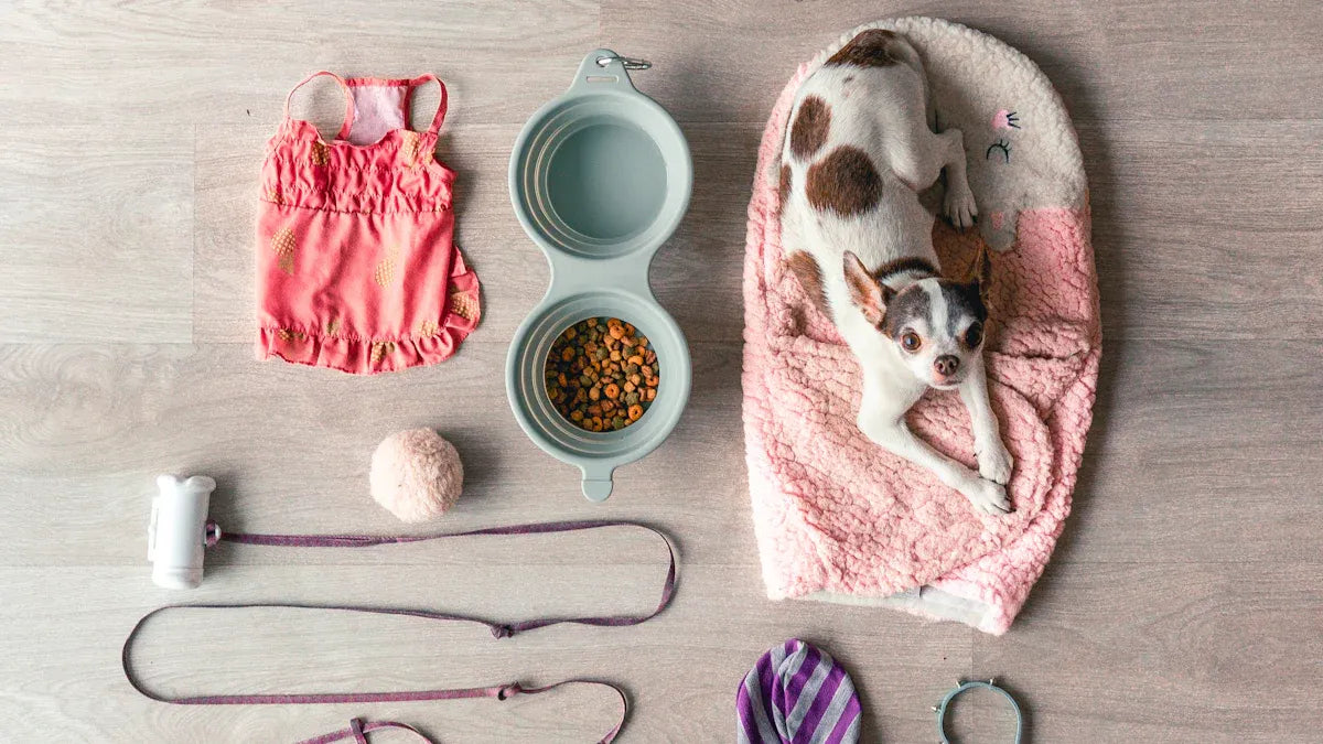 Top 10 Pet Starter Kits Every New Owner Needs in 2025