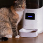 Top 3 Smart Wet Cat Food Feeder Models Compared
