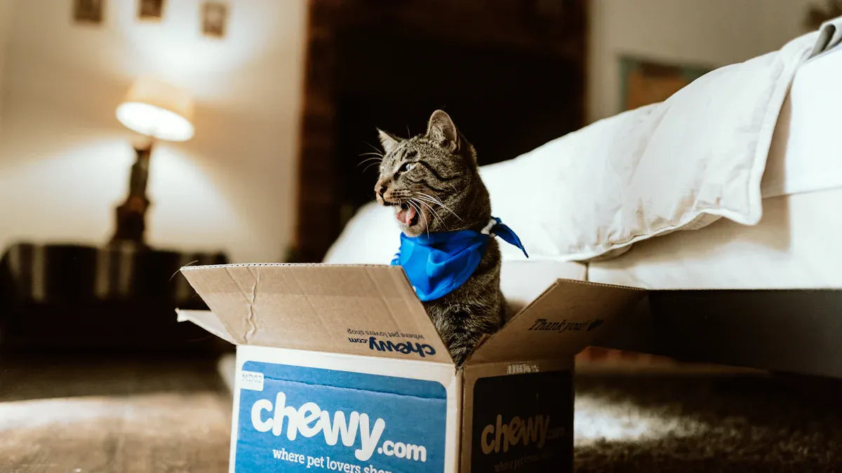 Pet Care Package Review: Which Options Stand Out in 2025