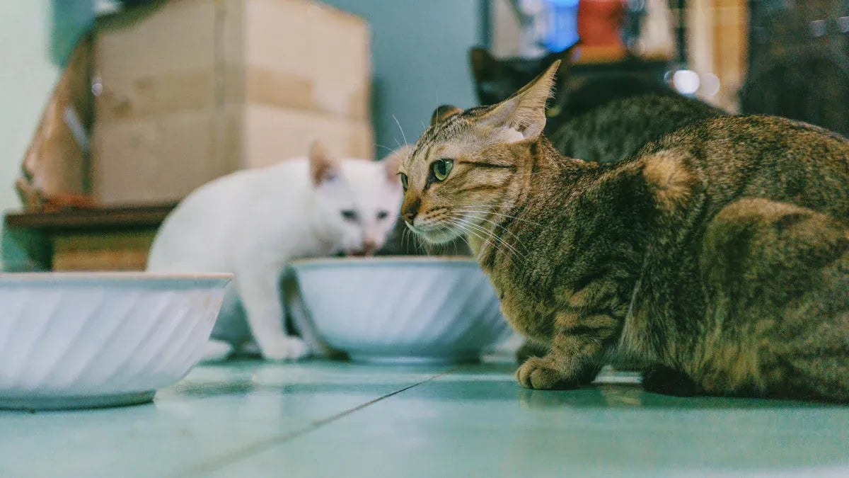 Top Smart Feeders for Multi-Cat Households in 2025