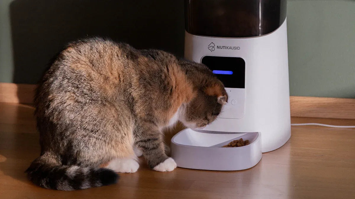Cat care with an automatic feeder