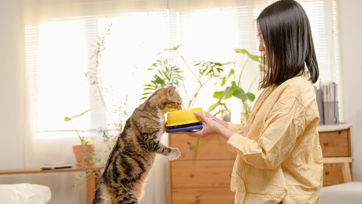 Top 10 Beginner Cat Kits Every First-Time Owner Needs in 2025