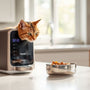 The Ultimate Programmable Wet Food Feeder for Cats: Keep Your Feline Fed Fresh