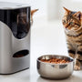 The Ultimate Guide to Choosing an Automatic Feeder for Your Cat