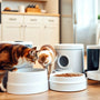 Automatic Cat Feeder Comparison: Choosing the Best Model for Your Feline in 2025