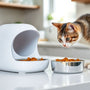 How to Choose the Best Smart Wet Food Cat Feeder for Fresh, Hassle-Free Feeding