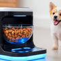 Keep Your Pet's Meals Fresh: The Ultimate Smart Pet Feeder with Cooling Guide