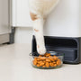 Keep Your Cat Fed with the Best Automatic Wet Cat Feeder