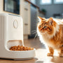 Is an Automatic Feeder the Right Choice for Your Cat? A Comprehensive Guide
