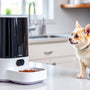 Revolutionize Your Pet's Mealtime with a Smart Wet Food Feeder