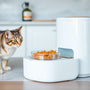 How to Choose the Best Refrigerated Cat Food Feeder for Fresh and Healthy Meals