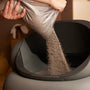 Top Cat Litter Boxes with Scoop for Cleaner Homes