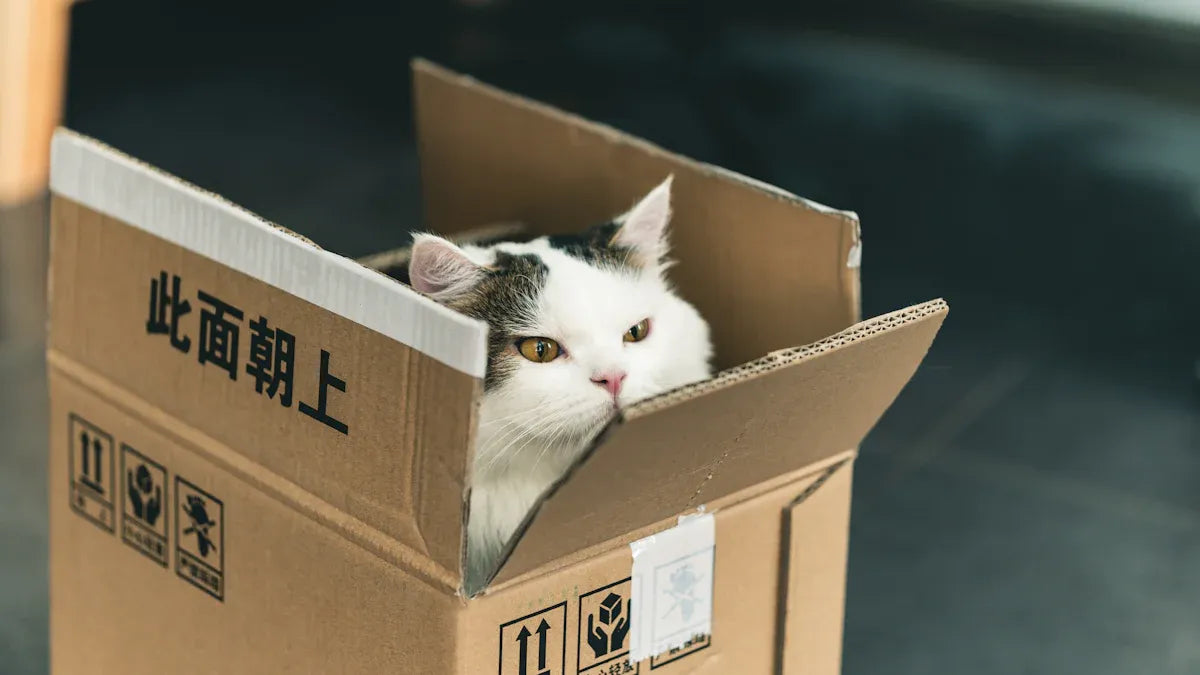 Top 10 Kitten and Small Cat Starter Bundles for New Cat Owners