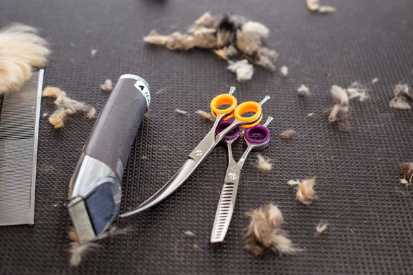 We Tested the Top Electrostatic Pet Hair Remover Brushes
