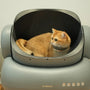 Big litter tray for cats: top 3 picks compared