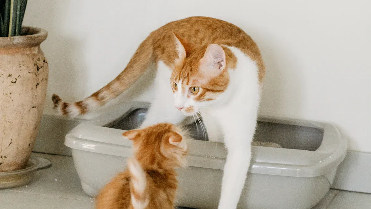 Top Non-Stainless Steel Metal Cat Litter Scoops Reviewed for 2025