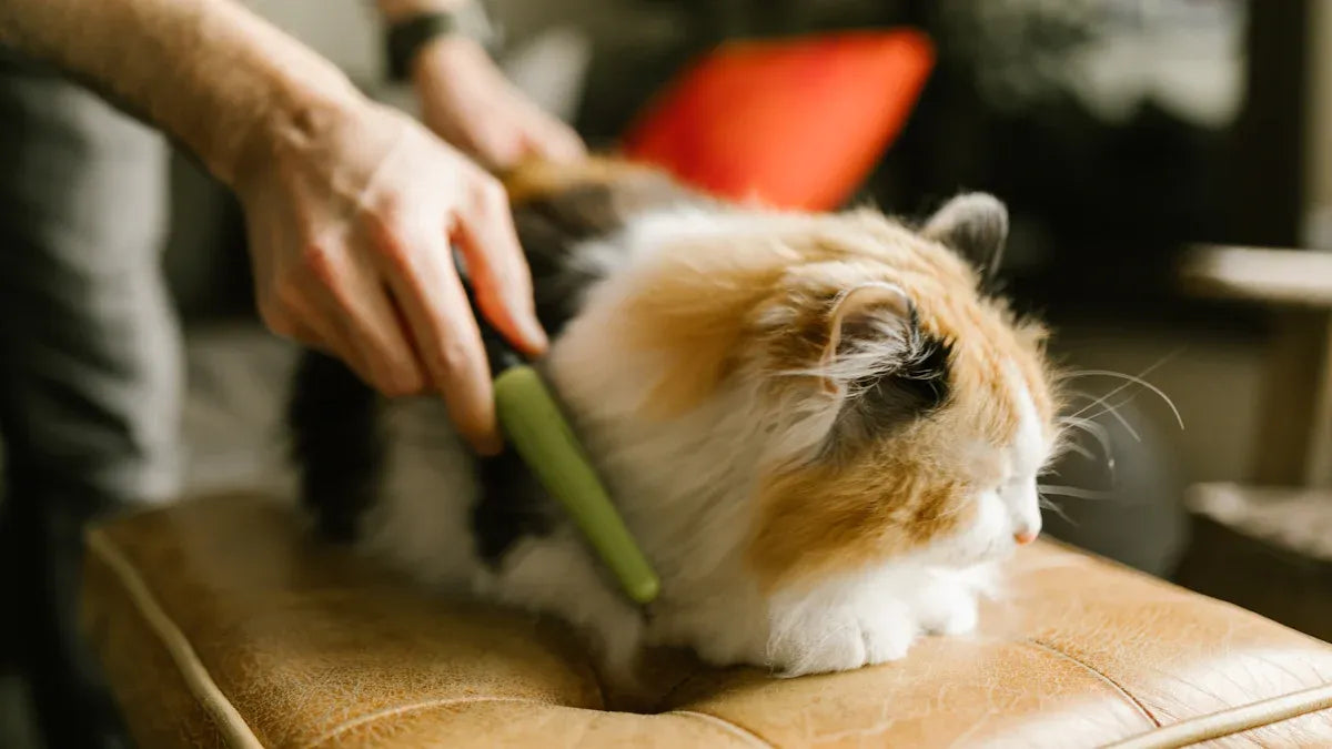 Top 10 Pet Grooming Combs for Every Coat Type