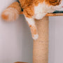 Top 10 Cat Scratching Posts Every Cat Owner Needs in 2025