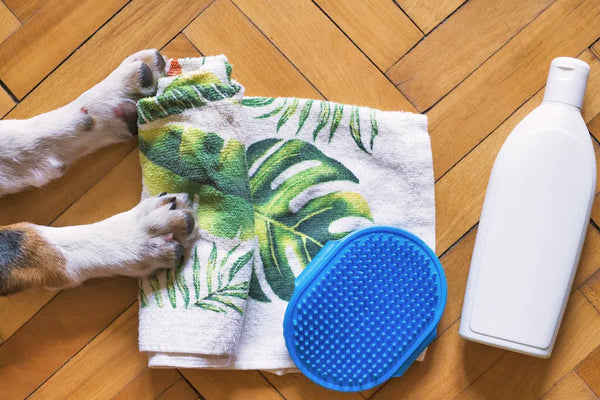 Top 10 Pet Hair Removal Tools Every Owner Needs in 2025