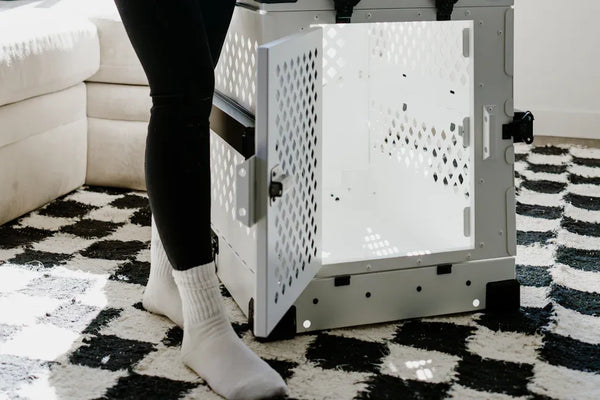 Are Stainless Steel Cat Litter Boxes Worth the Investment in 2025