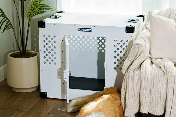 Top Stainless Steel Litter Boxes for Cats in 2025