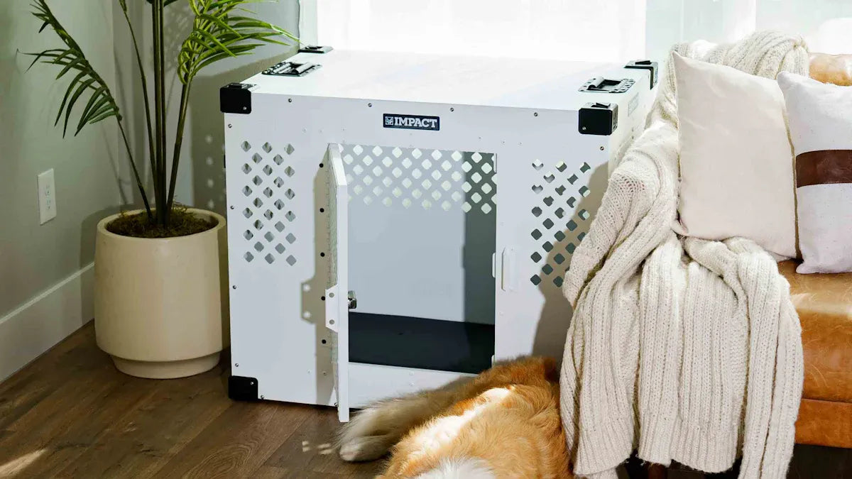 Top Stainless Steel Litter Boxes for Cats in 2025