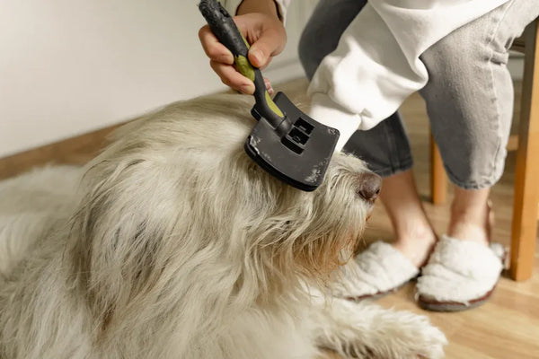 Grooming Rake for Long Hair: Which One Should You Try This Year?