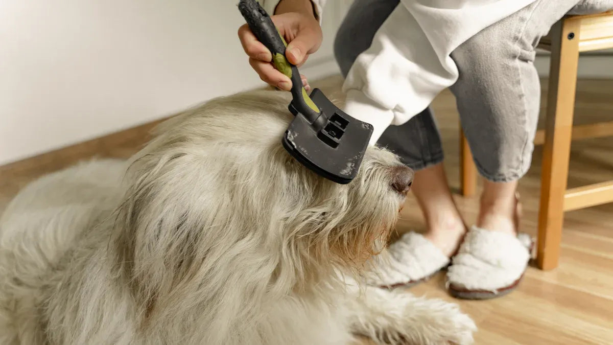 Grooming Rake for Long Hair: Which One Should You Try This Year?