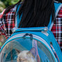 Top 10 Portable Pet Air Boxes for Stress-Free Travel in 2025