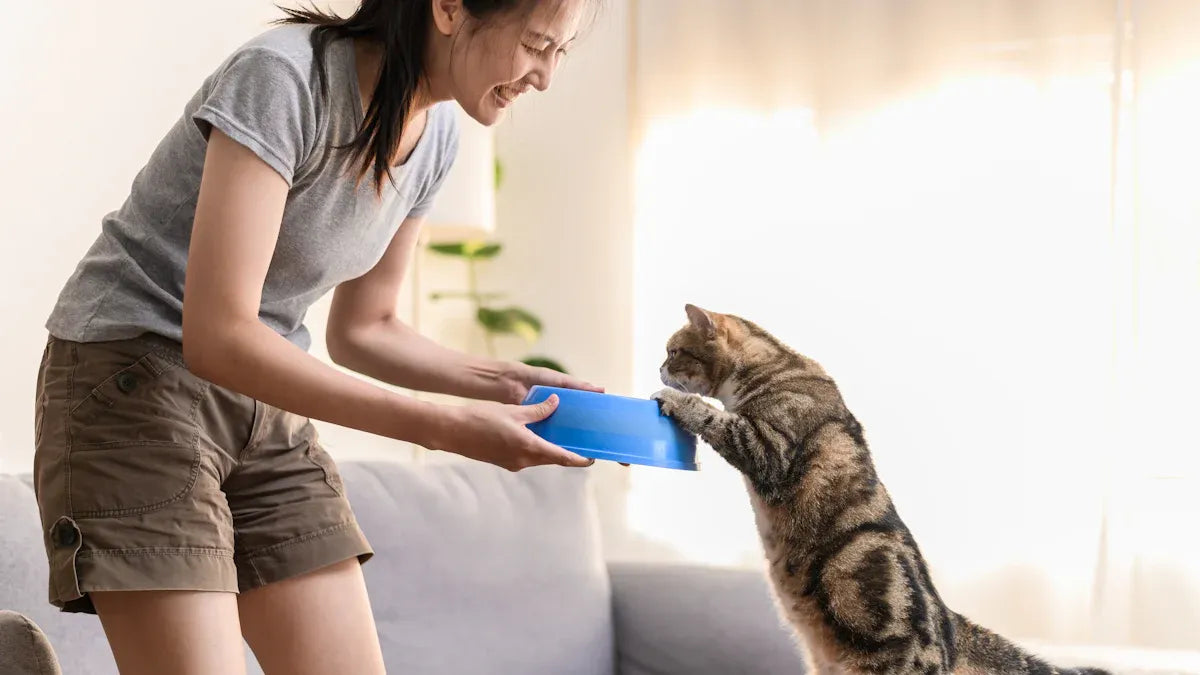 Top 12-Piece Cat Starter Kits Every New Cat Owner Needs