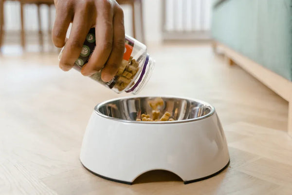 Top 7 Ceramic Detachable Pet Water Bowls Reviewed for 2025