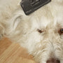 Top 10 Eco-Friendly Washable Pet Hair Cleaners for Every Home