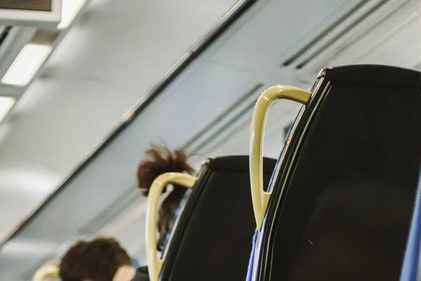 Top 10 Best Airline Dog Carriers for Safe Travel in 2025