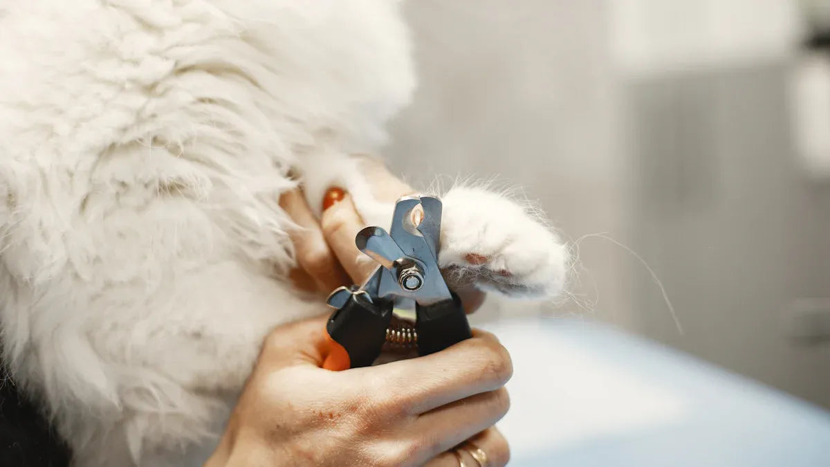 Top 10 Cat Combs for Shedding and Detangling in 2025