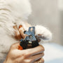 Top 10 Cat Combs for Shedding and Detangling in 2025