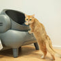 Pros and Cons of ScoopFree Cat Litter Box