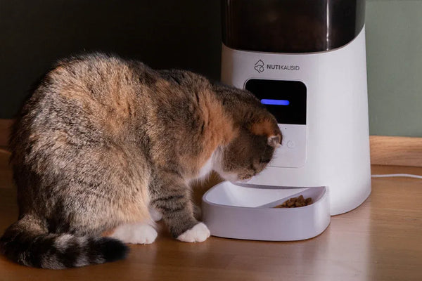 Is the Petlibro Polar Wet Food Feeder Worth It for Cat Owners