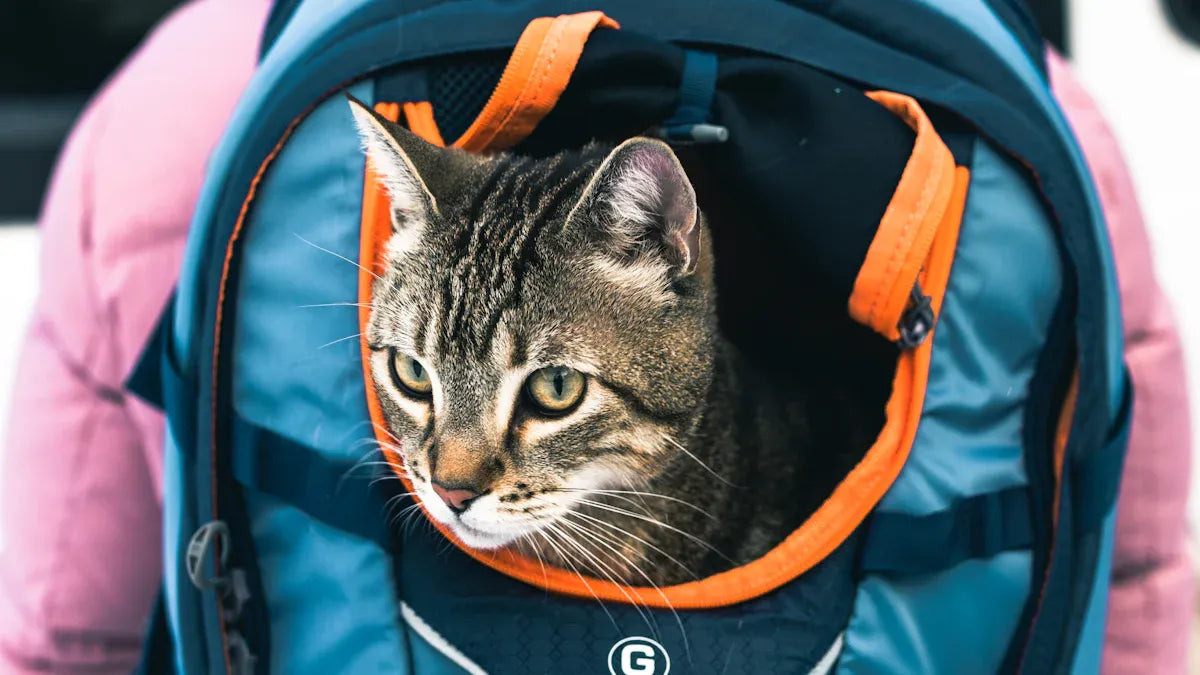 Top 10 Essential Cat Owner Kits for New Pet Parents
