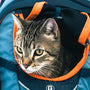 Top 10 Essential Cat Owner Kits for New Pet Parents