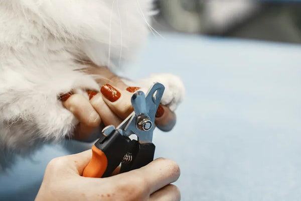 The Best LED Pet Nail Trimmers for Dogs and Cats in 2025 Reviewed