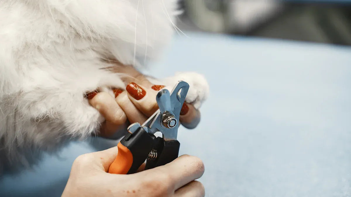 The Best LED Pet Nail Trimmers for Dogs and Cats in 2025 Reviewed