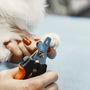The Best LED Pet Nail Trimmers for Dogs and Cats in 2025 Reviewed
