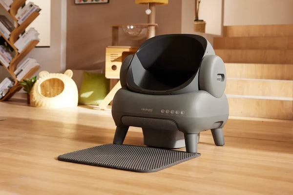 Automatic Cat Litter Boxes vs Traditional Options