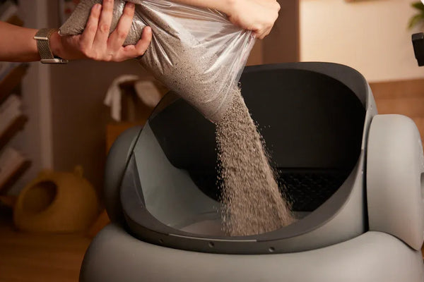 Top entry litter box or side entry, which keeps floors cleaner?