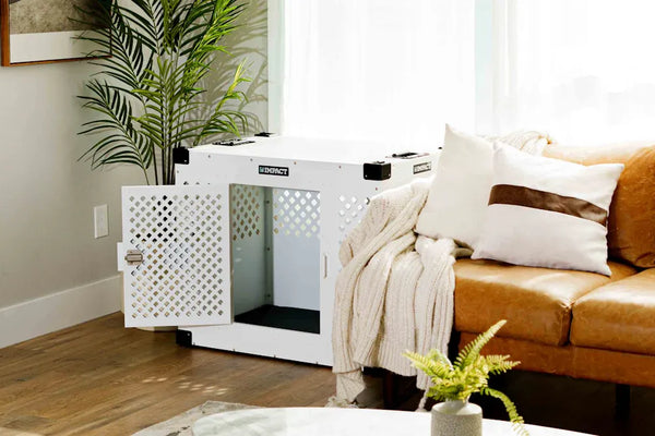 Top Picks for Cat Litter Box Air Purifier Kits This Year