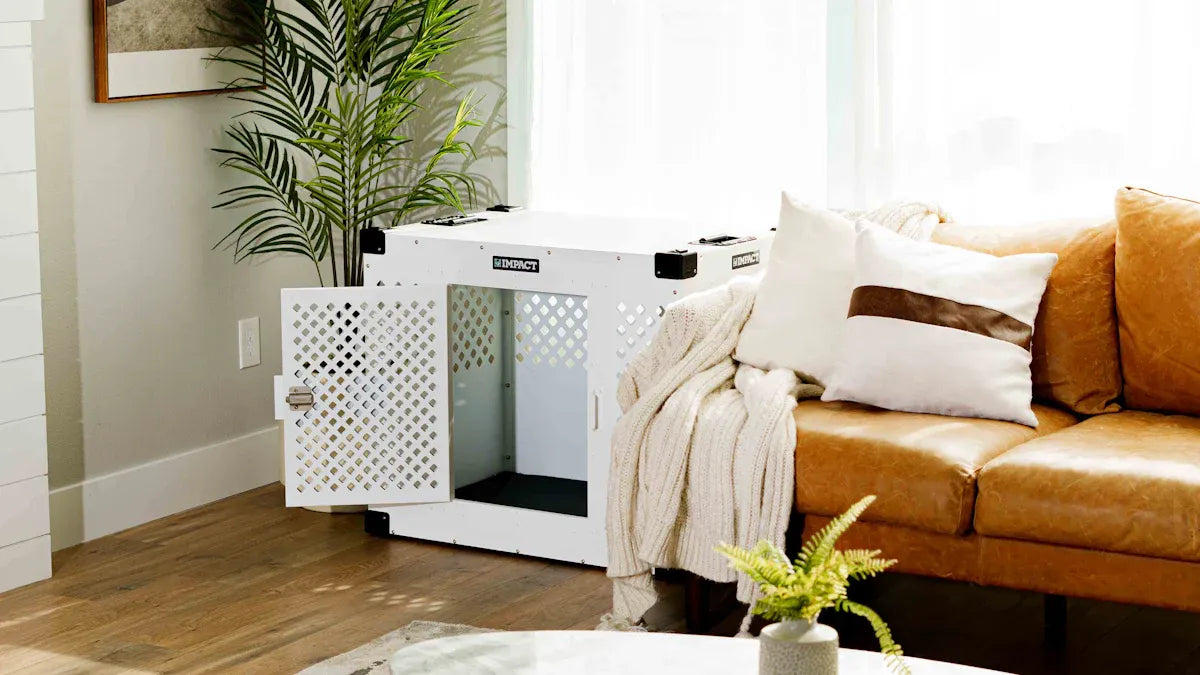 Top Picks for Cat Litter Box Air Purifier Kits This Year